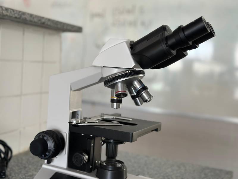 Escola movimenta férias com atividades lúdicas e criativas em Anísio de Abreu