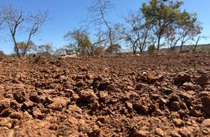 Gel natural do Piauí ajuda a recuperar solo de área mais seca do Brasil (Foto: Reprodução/ ASCOM) Gel natural do Piauí ajuda a recuperar solo de área mais seca do Brasil (Foto: Reprodução/ ASCOM)