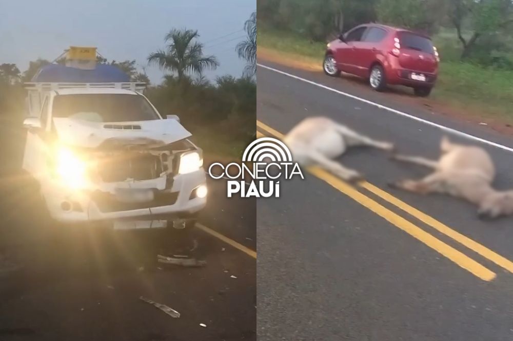 Homem bate carro recém-adquirido com jumentos na PI-113 entre Barras e Cabeceiras