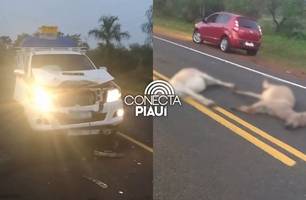 Homem bate carro recém-adquirido com jumentos na PI-113 entre Barras e Cabeceiras (Foto: Reprodução)