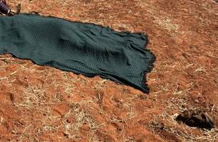 Homem é encontrado morto após balear companheira na zona Rural de Gilbués (Foto: Divulgação/PMPI)