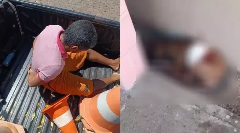 Homem é preso após esfaquear cachorro em via pública em Campo Maior