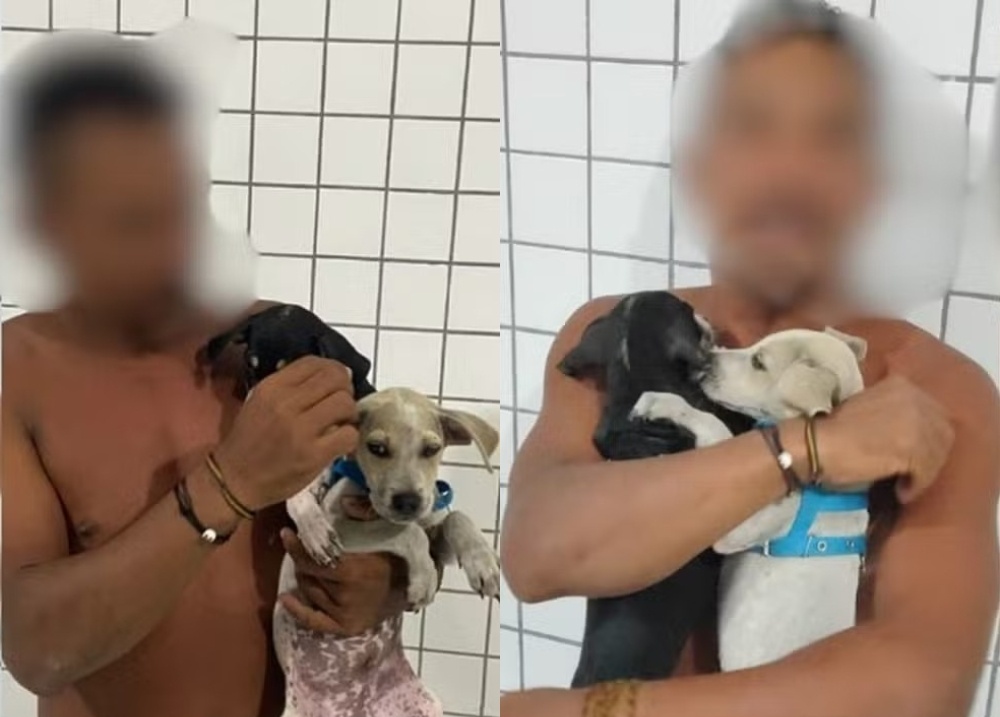 Homem é preso por tentar afogar filhotes de cachorro na Pedra do Sal, em Parnaíba
