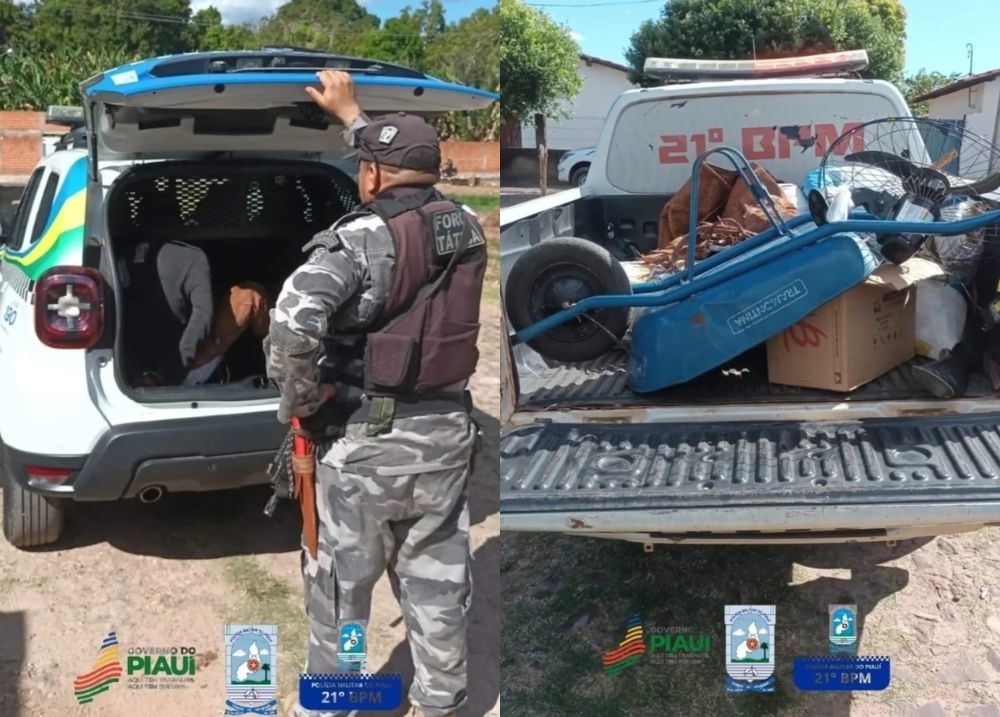 Homem é preso suspeito de furtar objetos em fazenda na zona rural de Alto Longá