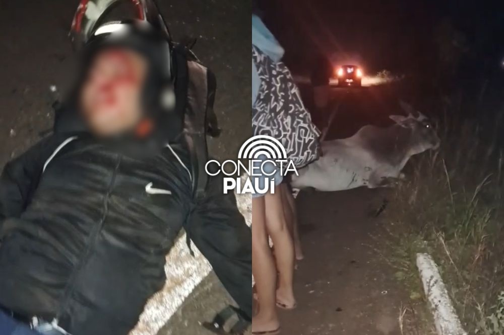 Homem fica ferido após colidir moto com vaca na PI-113 em José de Freitas