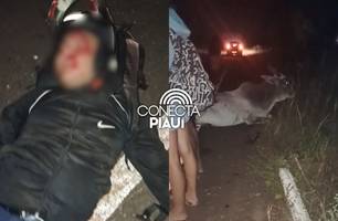 Homem fica ferido após colidir moto com vaca na PI-113 em José de Freitas (Foto: Reprodução)