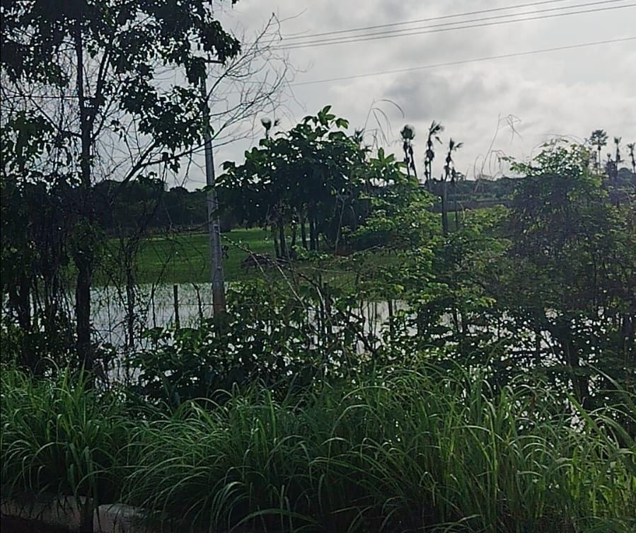 Homem morre afogado ao tentar atravessar o rio Surubim, em Campo Maior