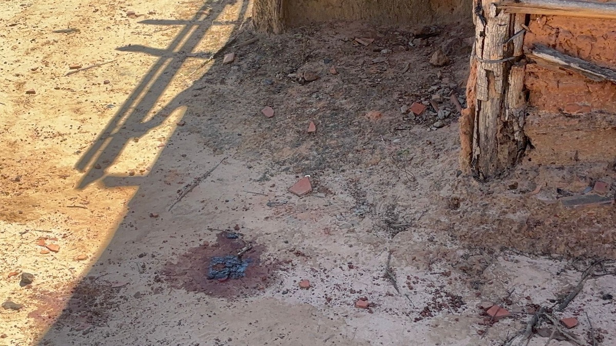 Imagens das buscas por foragido que matou delegado no Maranhão