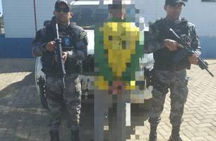 Jovem é preso após ameaçar morador com espingarda na zona rural de Uruçuí (Foto: Reprodução)