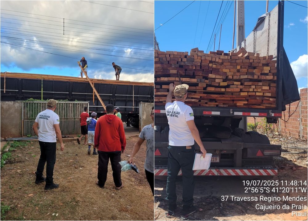 Madeira apreendida vira bem público e será usada em obras no litoral do Piauí
