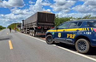 Madeira ilegal e aves em cativeiro: PRF reforça combate a crimes ambientais (Foto: Divulgação/PRF)