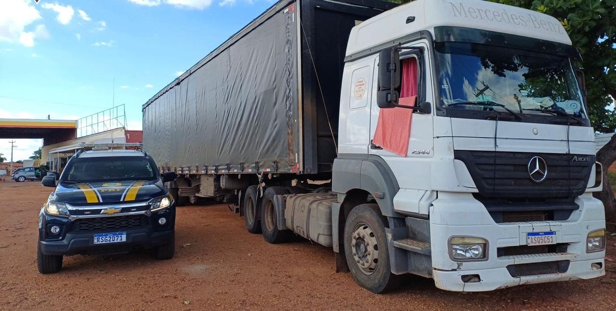 Madeira ilegal e aves em cativeiro: PRF reforça combate a crimes ambientais