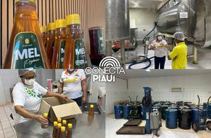 Mel produzido em Simplício Mendes é exportado para o Japão pela primeira vez (Foto: Conecta Piauí) Mel produzido em Simplício Mendes é exportado para o Japão pela primeira vez (Foto: Conecta Piauí)