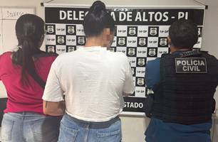 Mulher suspeita no envolvimento com tráfico de drogas é presa em Altos (Foto: Divulgação/Polícia Civil)