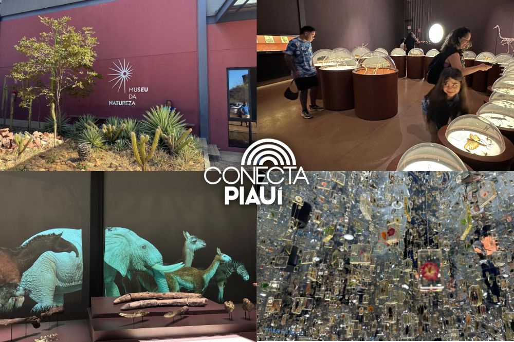 Museu da Natureza encanta turistas na Serra da Capivara