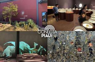 Museu da Natureza encanta turistas na Serra da Capivara (Foto: Conecta Piauí / Maria Clara César)