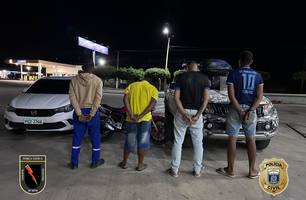 Operação integrada apreende 83 kg de maconha e prende quatro pessoas no Piauí (Foto: Reprodução)