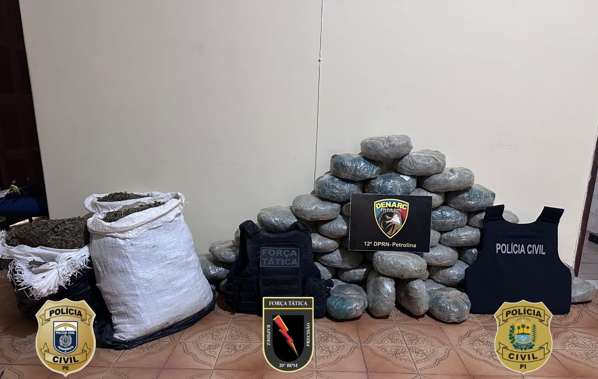 Operação integrada apreende 83 kg de maconha e prende quatro pessoas no Piauí