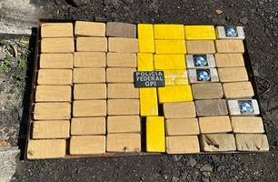 PF deflagra operação e apreende mais de 300 kg de drogas (Foto: Reprodução)