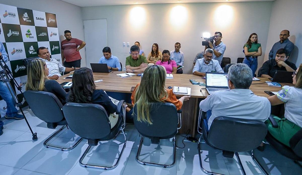 Piauí reforça ações contra gripe aviária após caso confirmado no Ceará