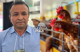 Piauí reforça ações de prevenção após confirmação de foco de gripe aviária no CE (Foto: Reprodução) Piauí reforça ações de prevenção após confirmação de foco de gripe aviária no CE (Foto: Reprodução)