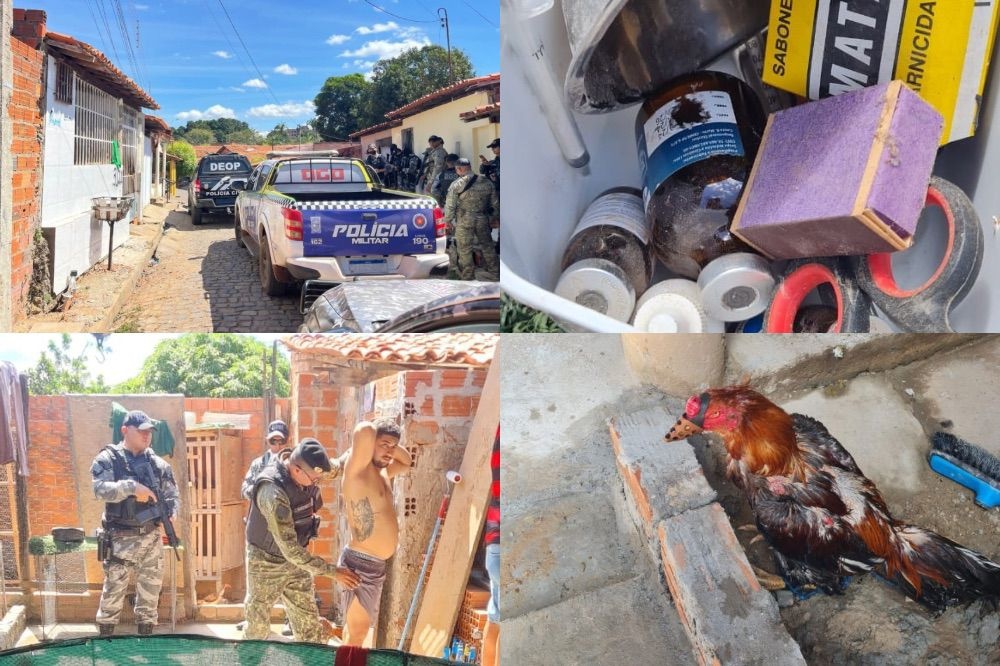 Polícia Civil e Polícia Militar desarticulam rinha de galos em teresina