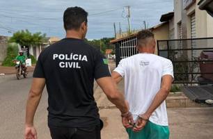 Polícia Civil prende homem por descumprimento de medida protetiva em José de Freitas (Foto: Reprodução)