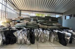 Polícia descobre plantação e apreende mais de 1 tonelada de maconha no Sul do PI (Foto: Conecta Piauí) Polícia descobre plantação e apreende mais de 1 tonelada de maconha no Sul do PI (Foto: Conecta Piauí)