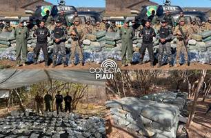 Polícia desmonta plantação com mais de 130 mil pés de maconha no sul do Piauí (Foto: Reprodução)