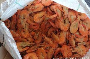 PRF apreende 1,3 tonelada de pescado irregular em ônibus na BR-343, em Piripiri (Foto: Divulgação/PRF)