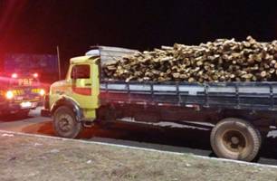 PRF apreende 13,94m³ de madeira nativa transportada sem documentação ambiental em Piripiri (PI) (Foto: Divulgação/ ASCOM PRF) PRF apreende 13,94m³ de madeira nativa transportada sem documentação ambiental em Piripiri (PI) (Foto: Divulgação/ ASCOM PRF)