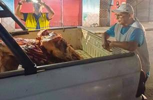 Quase 300 kg de carne clandestina são apreendidos pela Vigilância Sanitária em Teresina (Foto: Reprodução) Quase 300 kg de carne clandestina são apreendidos pela Vigilância Sanitária em Teresina (Foto: Reprodução)