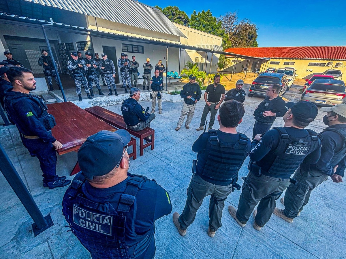 SSP-PI realiza Operação Porteira Fechada e apreende 60 animais no Piauí