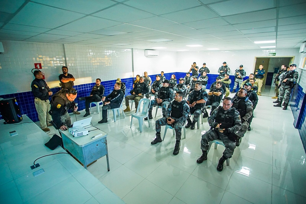 SSP-PI realiza Operação Porteira Fechada e apreende 60 animais no Piauí