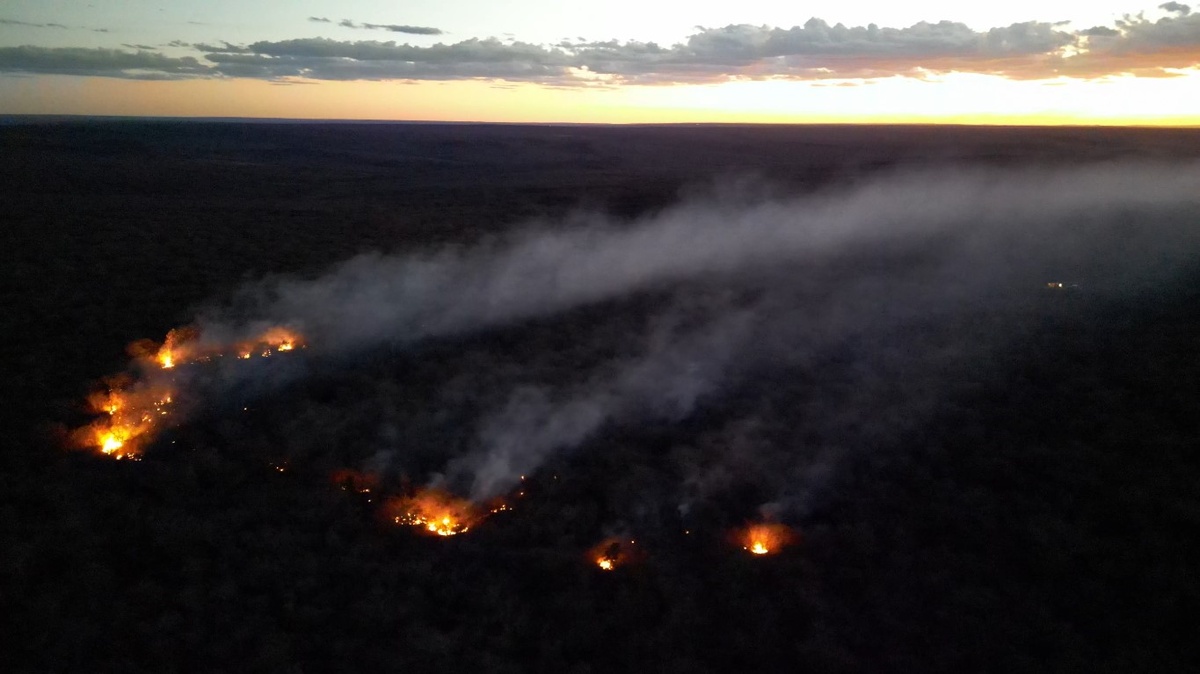 Brigadistas combatem incêndio de grandes proporções em Assunção do Piauí