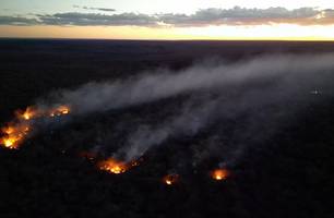 Brigadistas combatem incêndio de grandes proporções em Assunção do Piauí (Foto: Reprodução) Brigadistas combatem incêndio de grandes proporções em Assunção do Piauí (Foto: Reprodução)