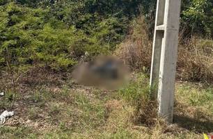 Corpo carbonizado é encontrado em terreno baldio na zona Leste de Teresina (Foto: Divulgação/PMPI)