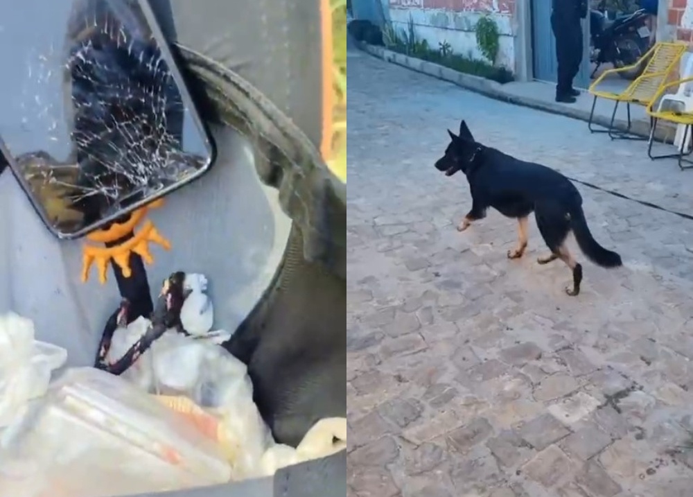 Dois homens são presos durante operação contra tráfico de drogas em Altos