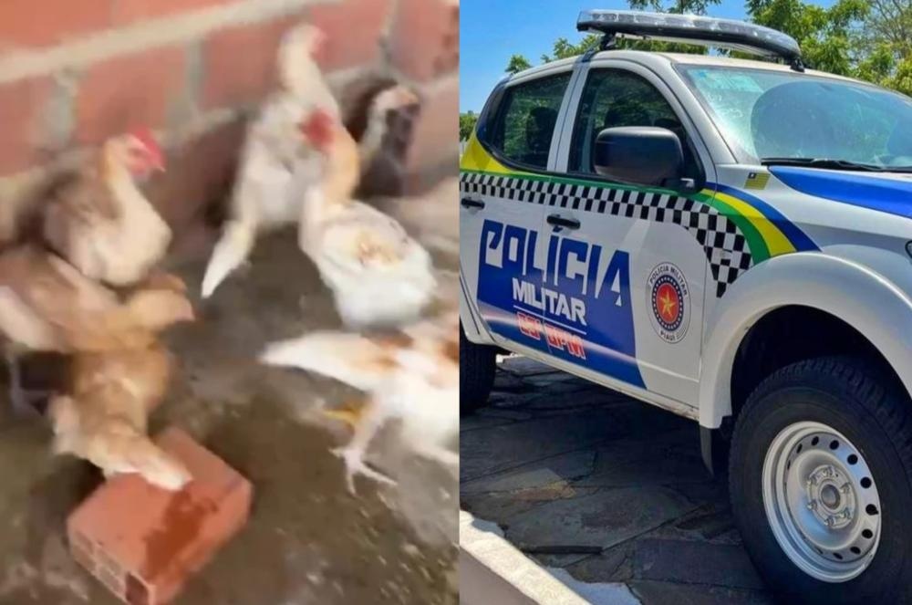 Homem invade casa para furtar galinhas e é preso em flagrante em Regeneração