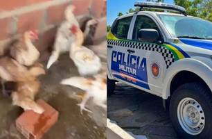 Homem invade casa para furtar galinhas e é preso em flagrante em Regeneração (Foto: Reprodução)