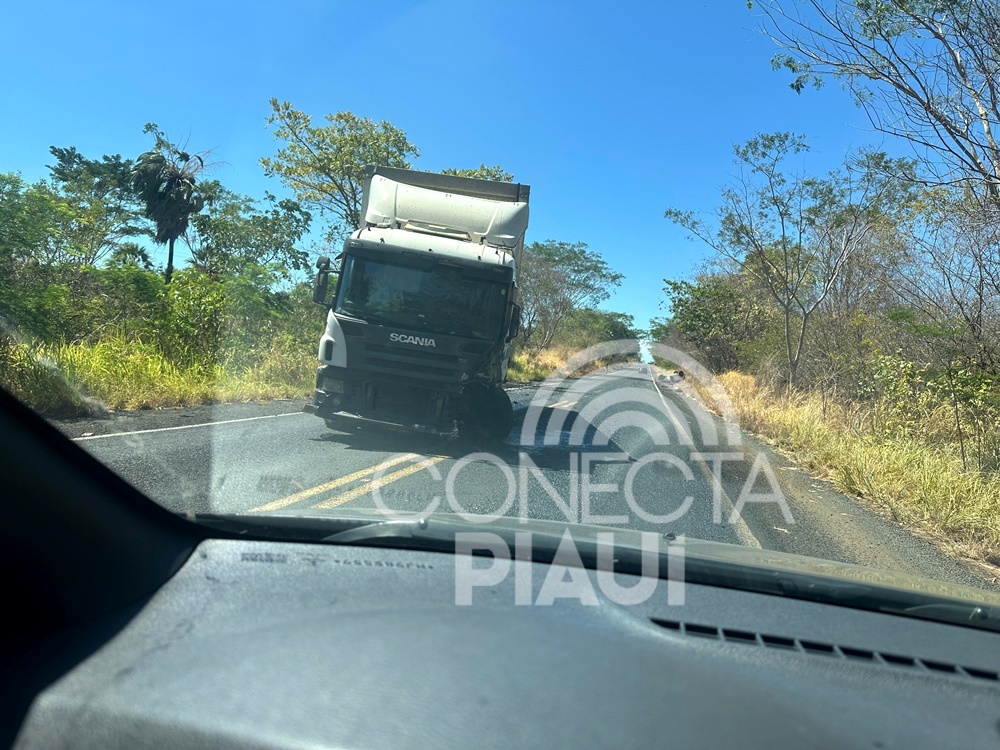 Homem morre após colisão entre Scania e carro na BR-316, em Elesbão Veloso