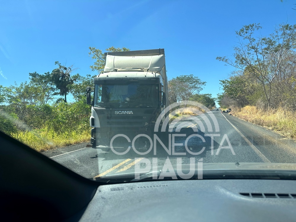 Homem morre após colisão entre Scania e carro na BR-316, em Elesbão Veloso
