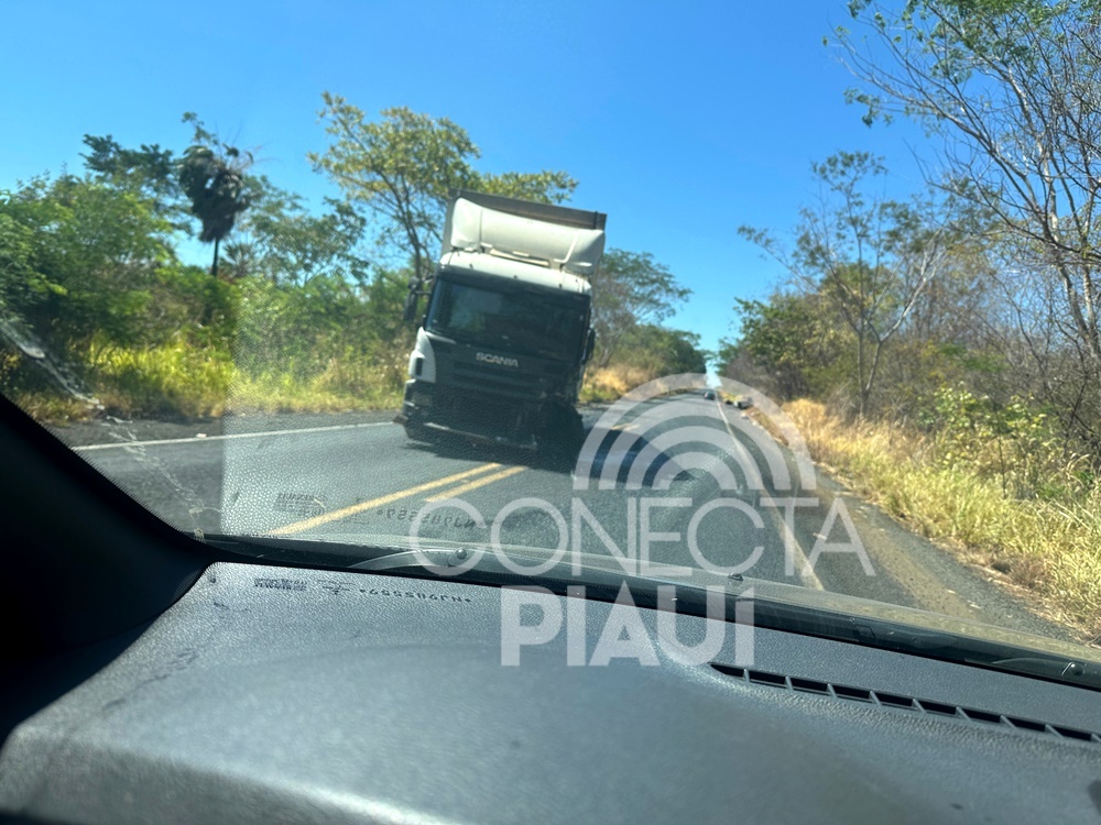 Homem morre após colisão entre Scania e carro na BR-316, em Elesbão Veloso