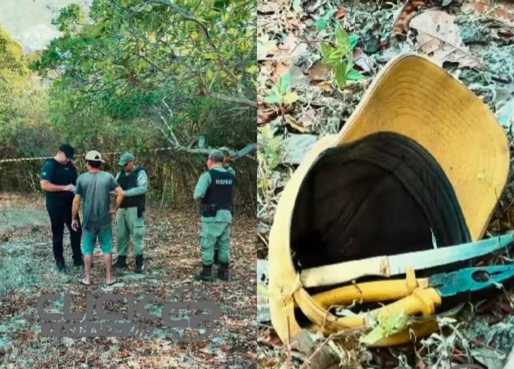 Homem morre eletrocutado após subir em poste de energia na zona Rural de Parnaíba