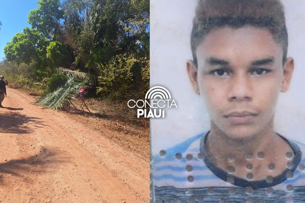 Jovem é morto a facadas enquanto bebia em bar na zona rural de município no Piauí