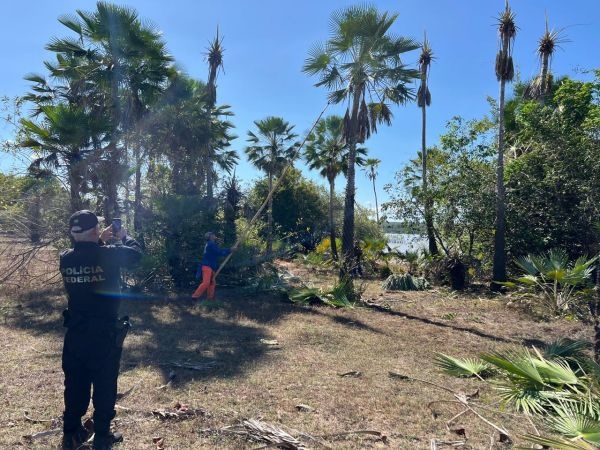 Piauienses estão entre resgatados em situação análoga à de escravidão no Maranhão