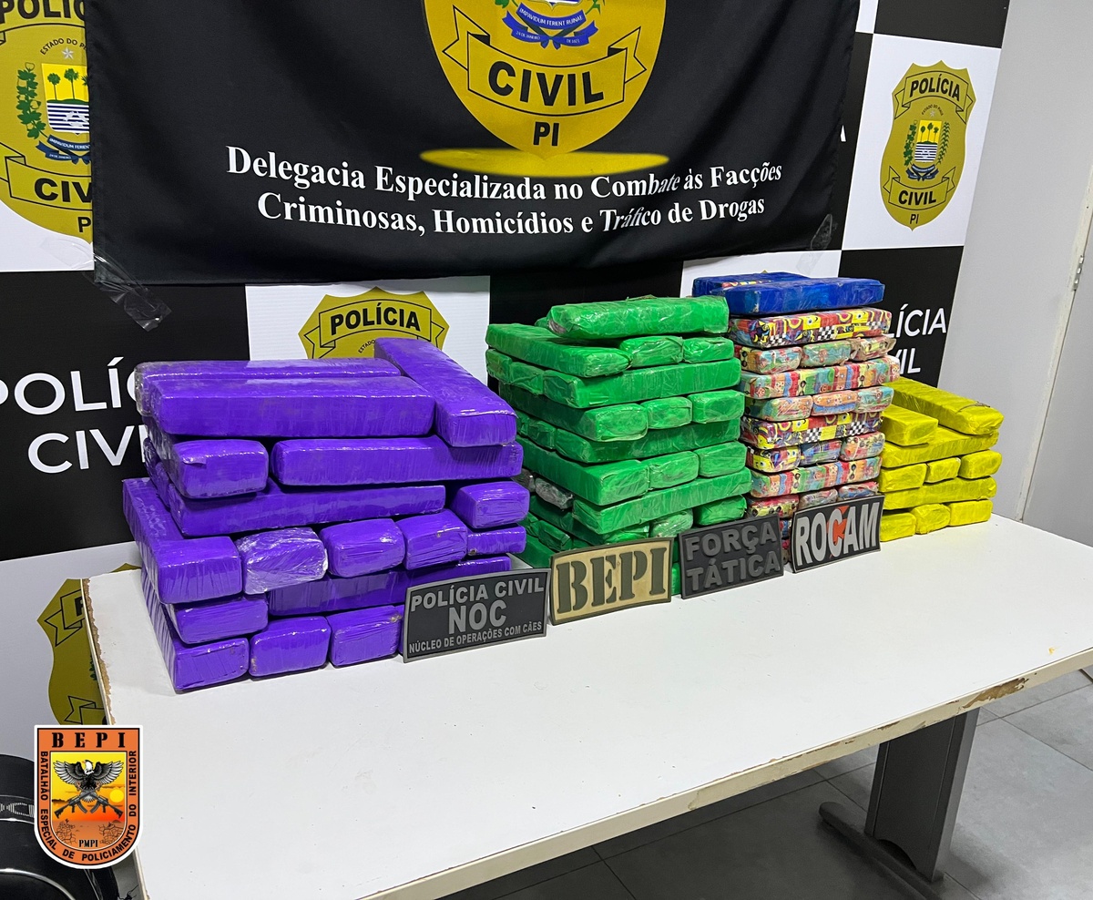 Polícia apreende mais de 100 tabletes de maconha durante operação em Picos