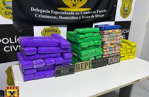 Polícia apreende mais de 100 tabletes de maconha durante operação em Picos (Foto: Reprodução)