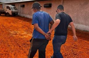 Polícia Civil do Piauí prende foragido suspeito de adulterar veículos em Goiás (Foto: Divulgação/Polícia Civil)