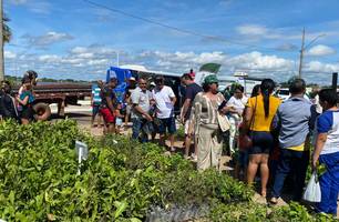 Semarh distriubiu mais de 66 mil mudas de plantas em 2025 (Foto: Ascom Semarh) Semarh distriubiu mais de 66 mil mudas de plantas em 2025 (Foto: Ascom Semarh)